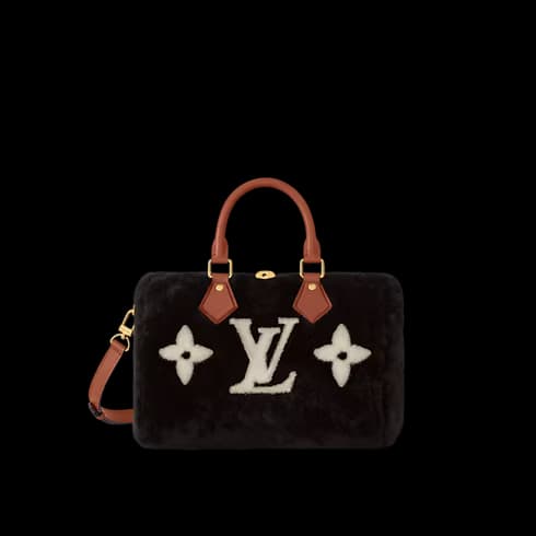 Speedy Bandouliere 25 Other Leathers