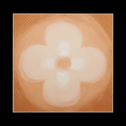 Lv Painterly Shawl S00